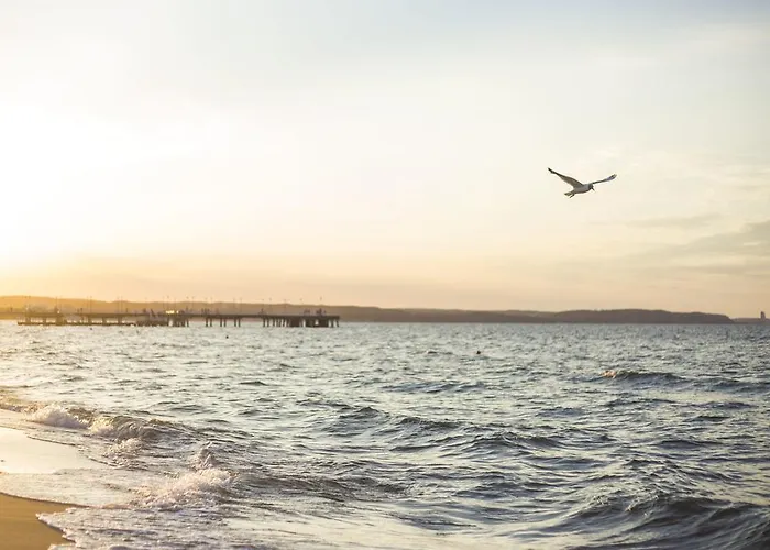 Sobieski3 - Monte Cassino By Oneapartments Apartment *